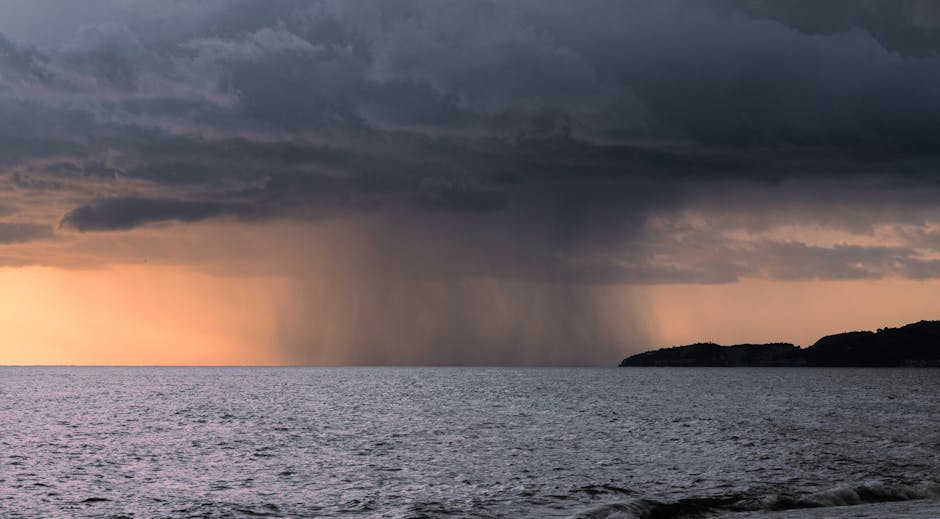 Flooded agricultural field along the Eel River near Fortuna