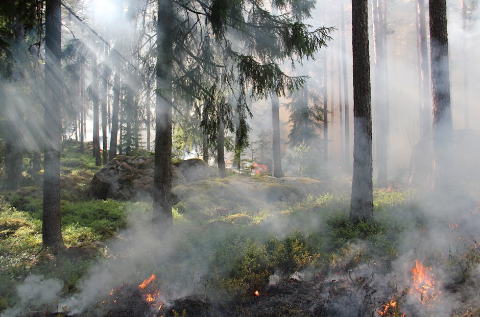 Firefighters conducting a controlled burn in dry grass with smoke rising against a backdrop of oak woodlands