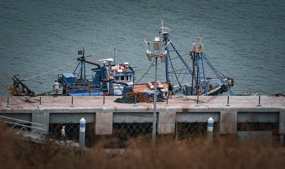 Commercial crab boat unloading traps at the Eureka waterfront on a foggy morning