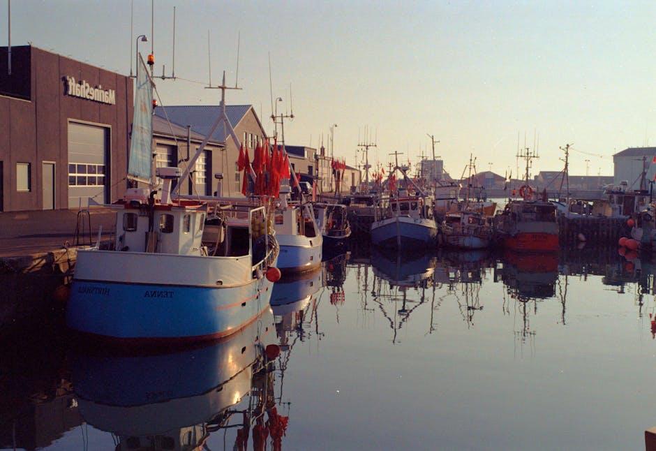 Commercial fishing boats docked at Woodley Island Marina in Eureka