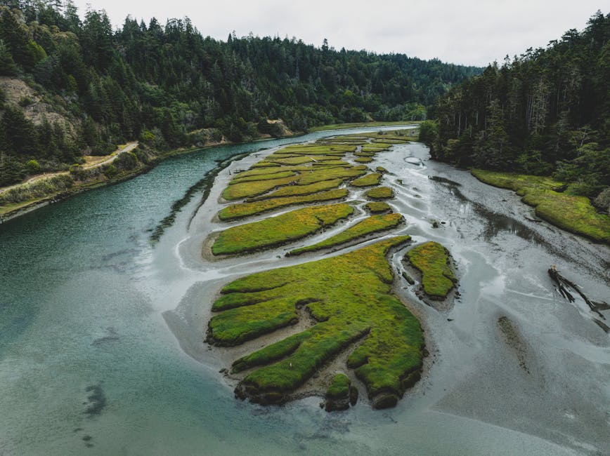 Aerial view of a serpentine river flowing through a lush green landscape surrounded by dense forest