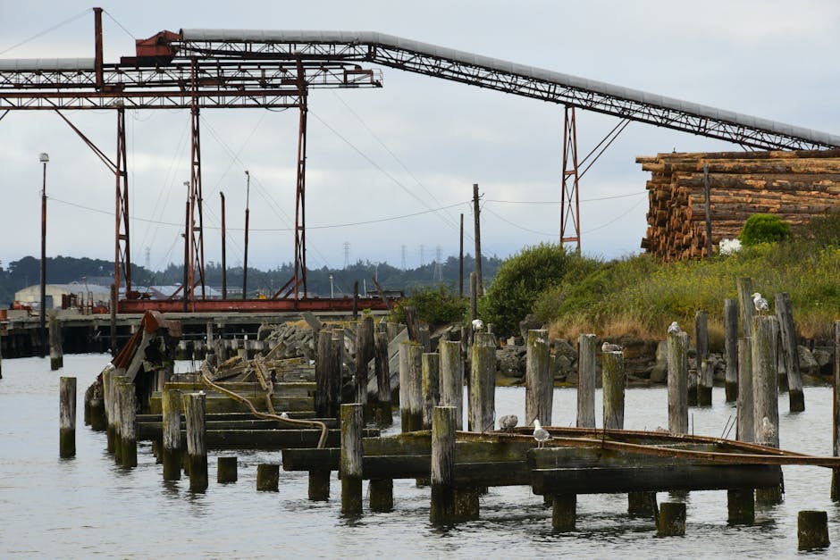 Historic redwood mill and pier remnants beside the water at Humboldt Bay, California